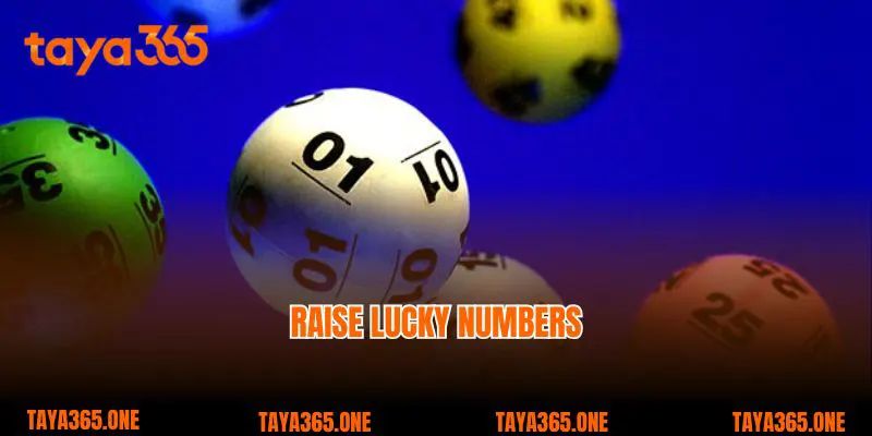 Raise lucky numbers