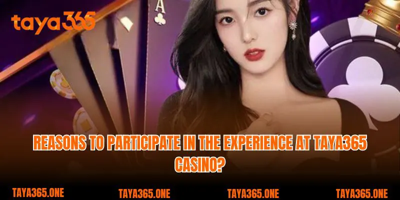 Reasons to participate in the experience at Taya365 Casino?