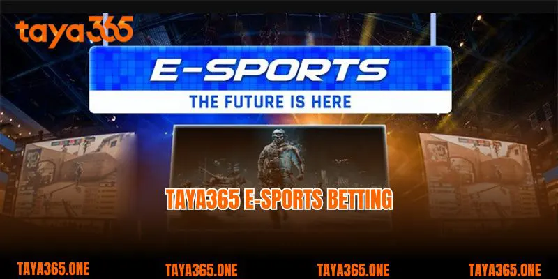 Taya365 e-sports betting