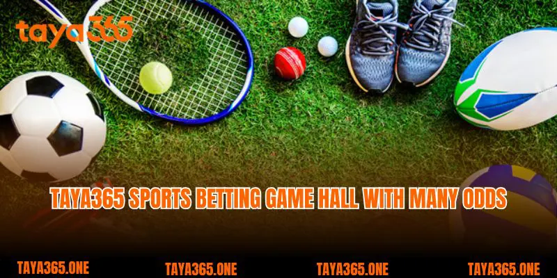 Taya365 sports betting game hall with many odds