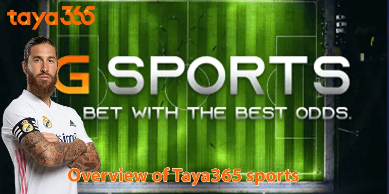 Overview of Taya365 sports